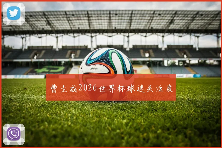 曹圭成2026世界杯球迷关注度
