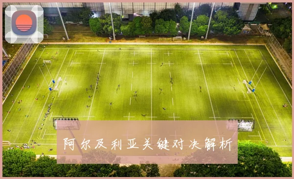 阿尔及利亚关键对决解析