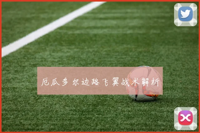 厄瓜多尔边路飞翼战术解析