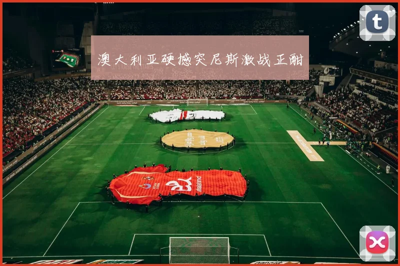 澳大利亚硬撼突尼斯激战正酣