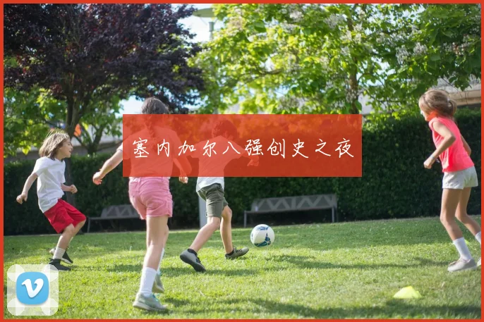 塞内加尔八强创史之夜