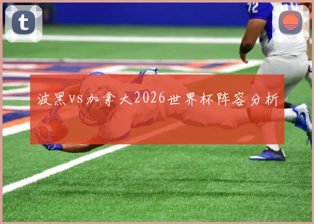 波黑vs加拿大2026世界杯阵容分析