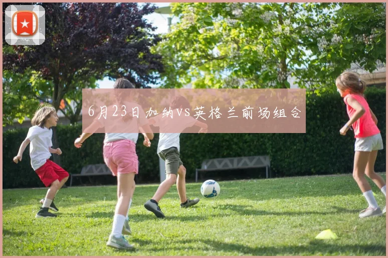 6月23日加纳vs英格兰前场组合