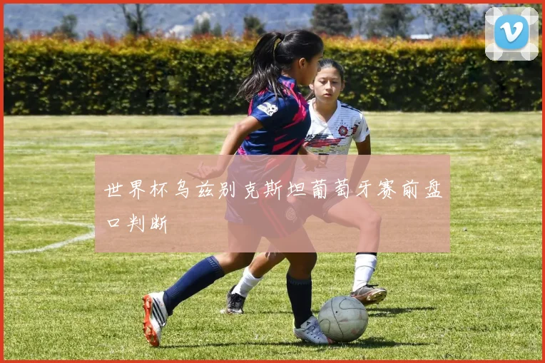 世界杯乌兹别克斯坦葡萄牙赛前盘口判断