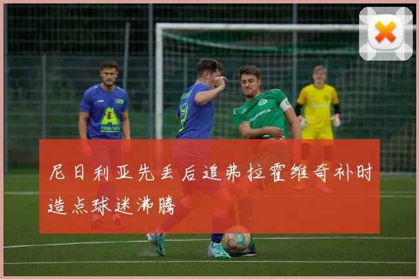 尼日利亚先丢后追弗拉霍维奇补时造点球迷沸腾