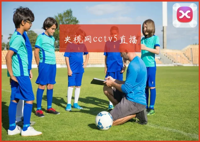 央视网cctv5直播