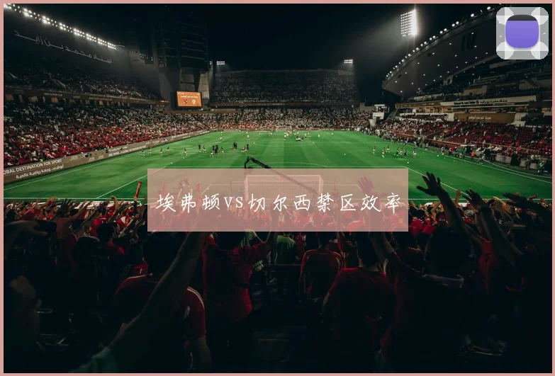 埃弗顿vs切尔西禁区效率