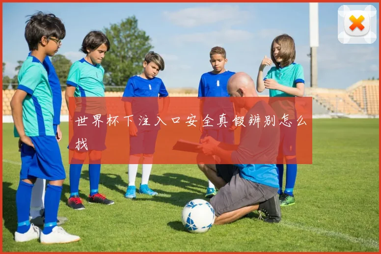 世界杯下注入口安全真假辨别怎么找