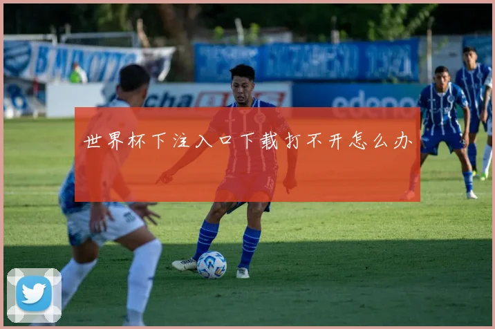 世界杯下注入口下载打不开怎么办
